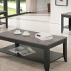 Modern Coffee Table Set - Gray & Black