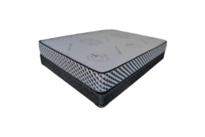 Premium Foam Mattress