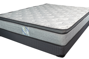 Value Line Product 12"Prince dream Eurotop