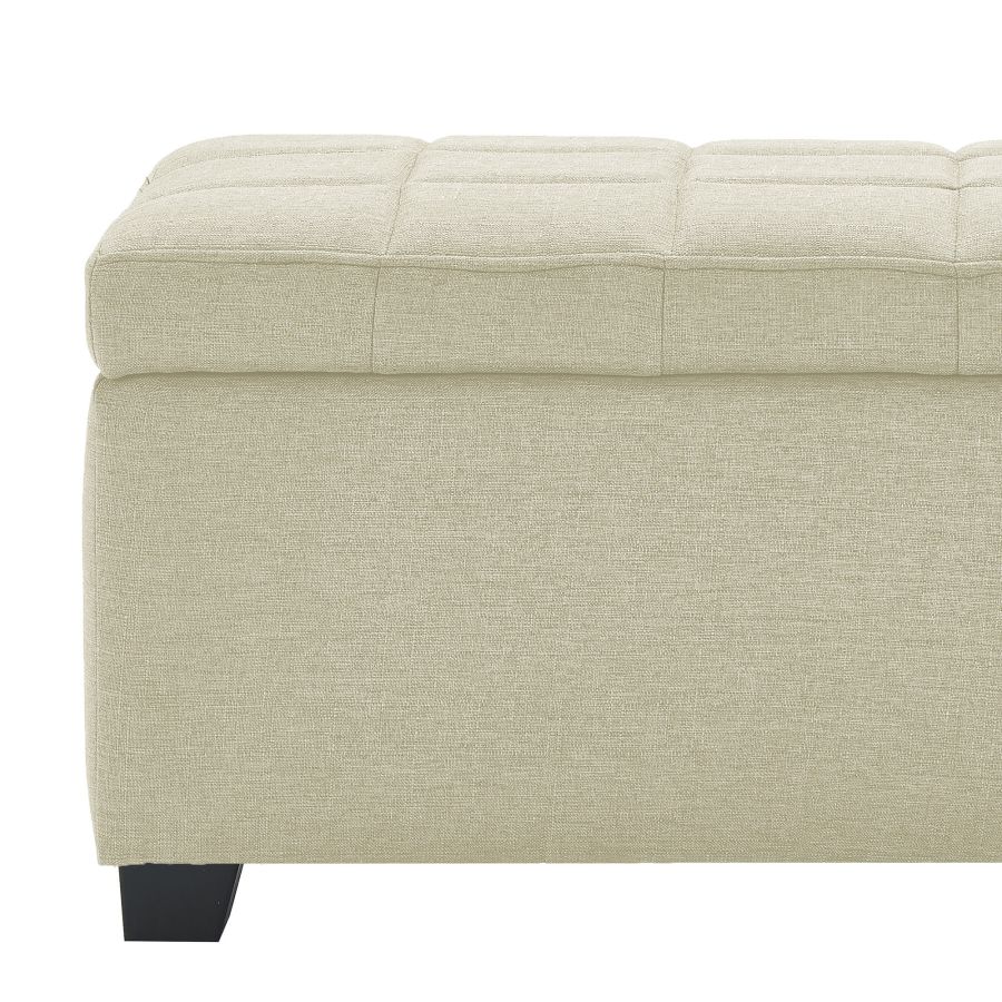 Lila Rectangular Storage Ottoman Bench in Beige - Image 3