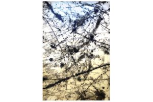 BOSTON P844A WHITE-DARK BLUE