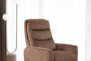Recliner Chair IF-6322