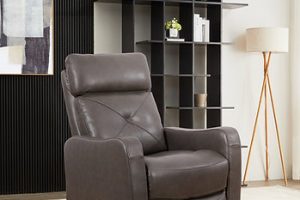 Recliner Chair IF-6330