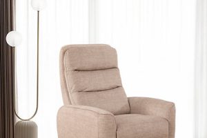 Recliner Chair IF-6321