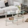 Tempered Glass Coffee Table with Curved Shelf