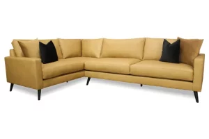 Anejo Leather Sectional
