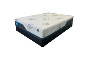 HEALTHY BEDS Rx 2